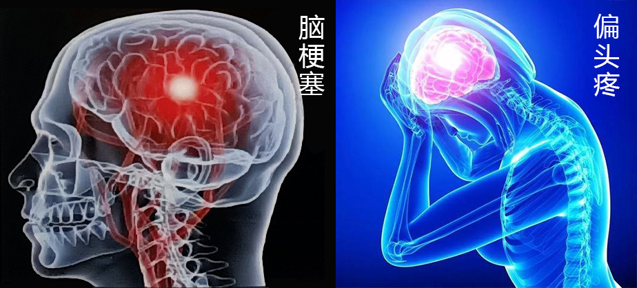 微信圖片_20210526150635.jpg