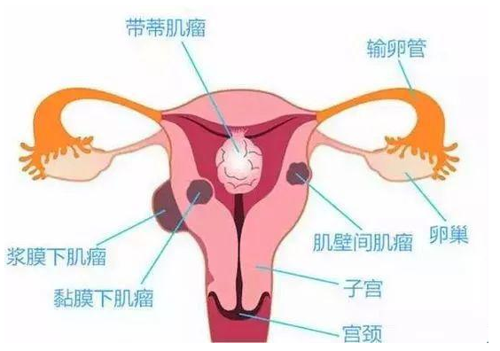 圖片2.png