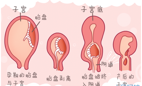 圖片51.png